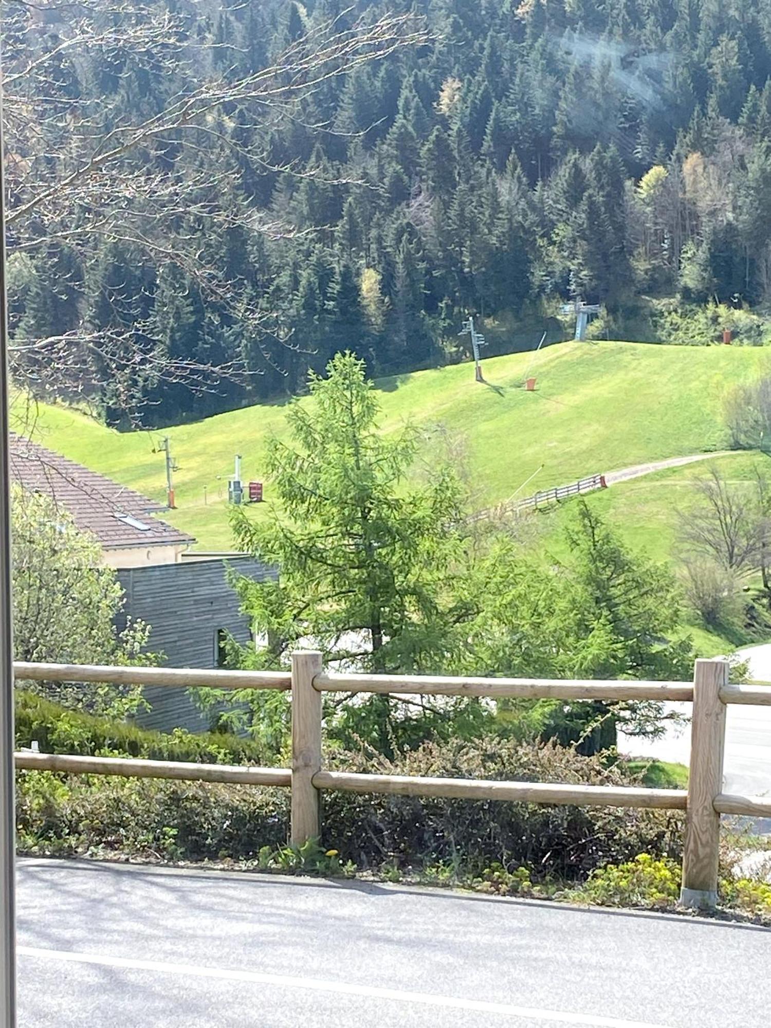Aux Pieds Des Pistes 4/6 Personnes Lejlighed Gérardmer Eksteriør billede